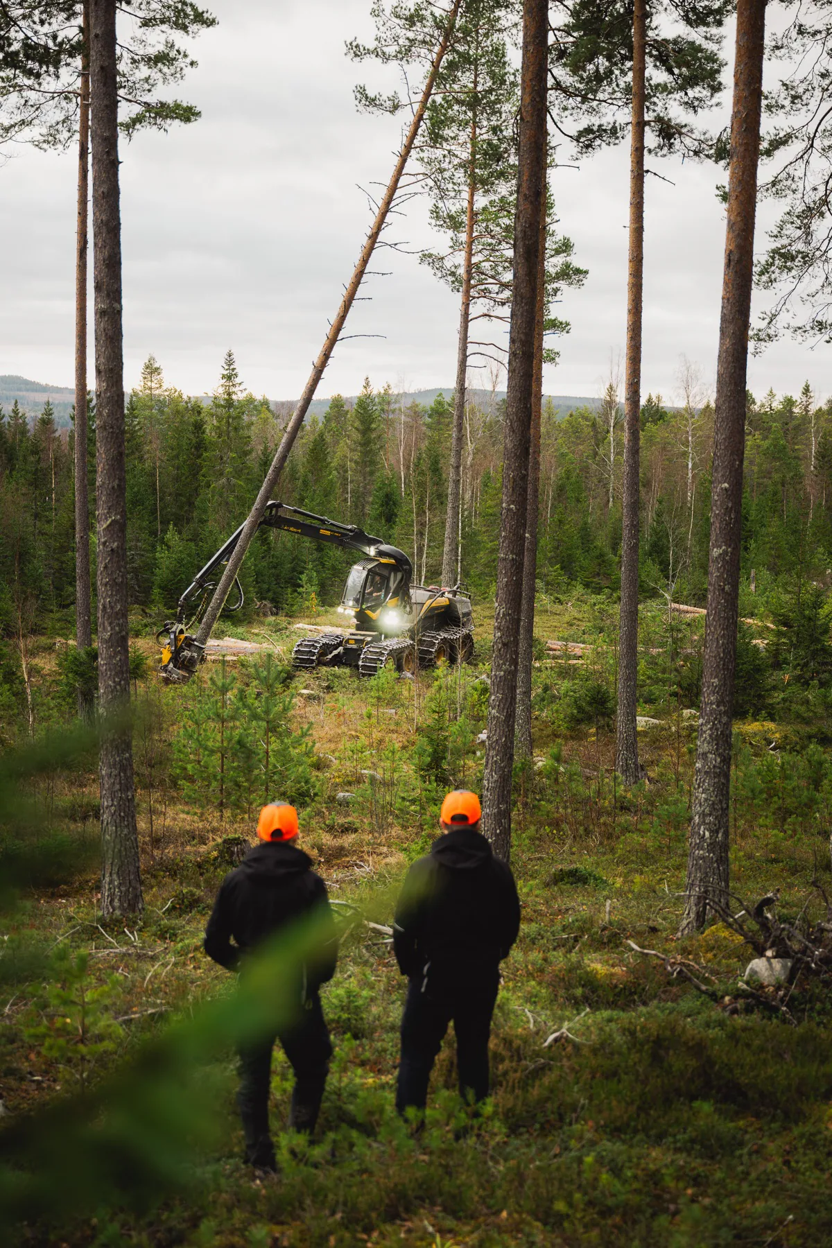 Skogsarbetare framför en maskin som arbetar bland träden